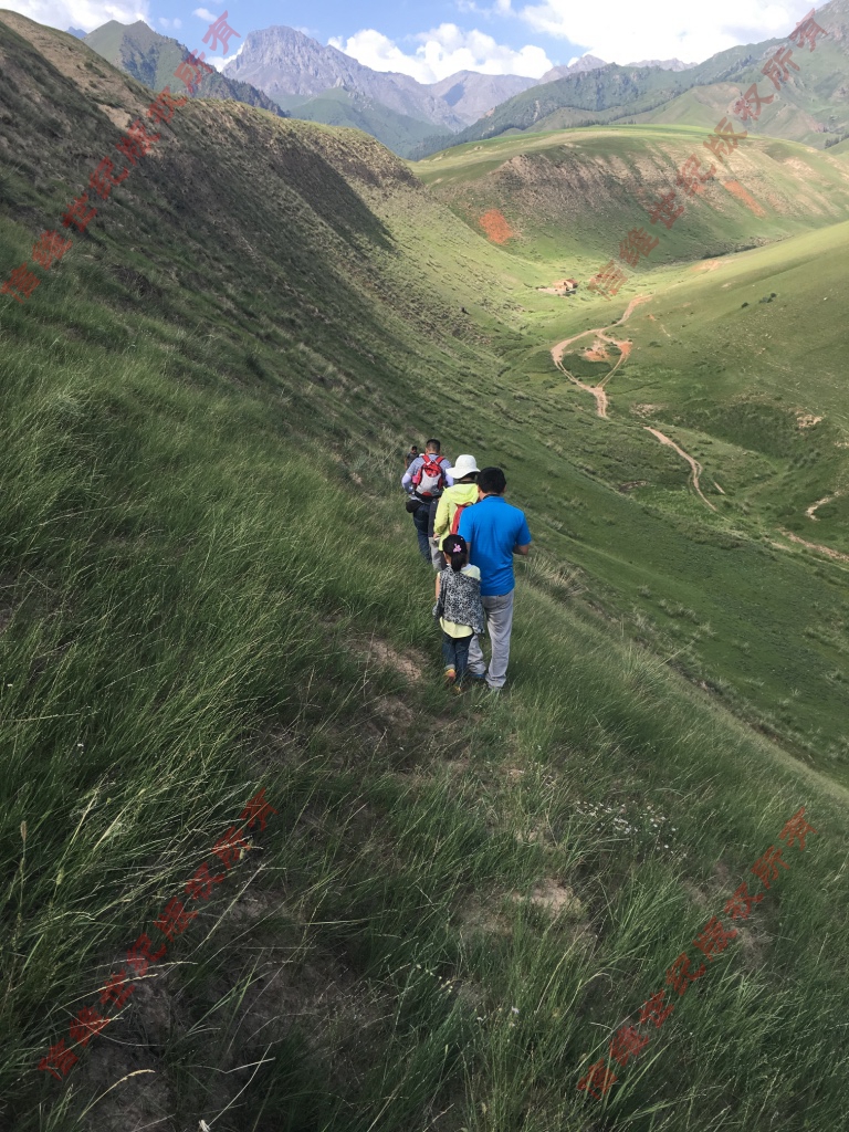 西北全景青海甘肃旅游